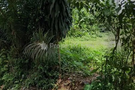 Dijual Tanah Kosong SHM Luas 5000 m2 di Belakang IPB Dramaga Bogor