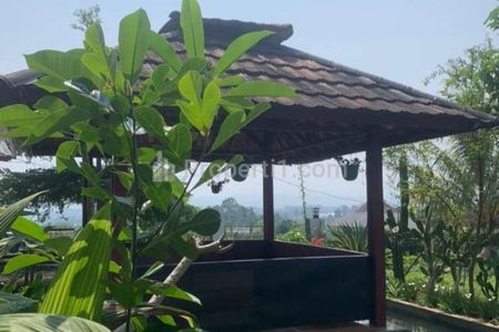 Dijual Rumah 3 Kamar dengan Luas Tanah 2000m2 di Cigombong Bogor