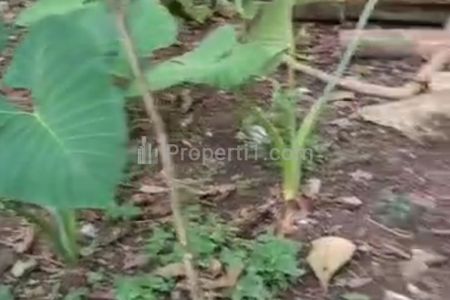 Dijual Tanah Kosong Luas 800m2 di Cidokom Gunung Sindur Bogor