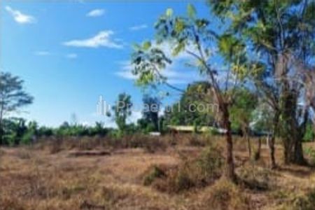 Dijual Lelang Tanah Luas 3.300 m2 di Gianyar Bali
