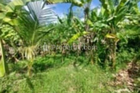 Jual Melalui Lelang Tanah di Gianyar Bali Luas 5.350 m2