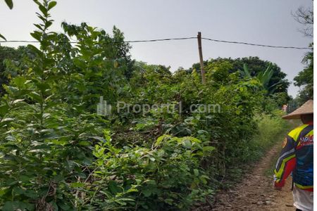 Jual Lelang Tanah di Kp Jaha Malangnengah Pagedangan Tangerang, Luas 600 m2 SHM