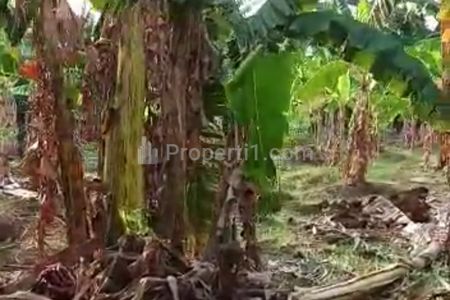 Jual Tanah Luas 2100 m2 di Beji Depok, Lokasi Strategis dekat Pintul Tol Cijago