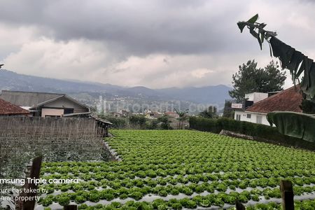Dijual Cepat Tanah Kebun Siap Bangun Wisata Hotel Pinggir Jalan Raya Maribaya Lembang Bandung Barat