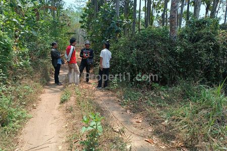 SANGAT MURAH..!!! Dijual Cepat Tanah Kebun Durian di Malang, Dekat Wisata Pemandian Sumber Jenon