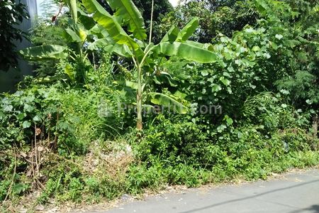 Jual Tanah Pekarangan SHM di Condongcatur Depok, dekat Kampus UGM, Ringroad Utara, Strategis
