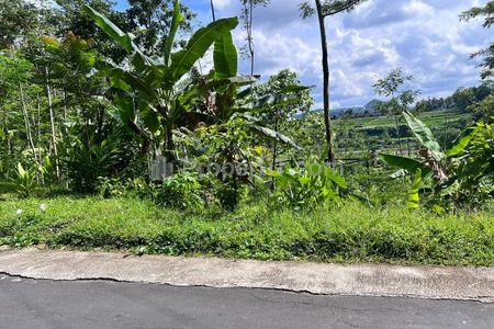 Jual Tanah Strategis Udara Dingin di Tawangmangu, Karanganyar, Solo, Jawa Tengah