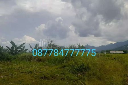 Jual Tanah Luas 5 Hektar di Cariu Bogor