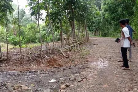 Jual Tanah Luas 2,3 Hektar Lokasi dekat Daerah Wisata Anyer Serang Banten