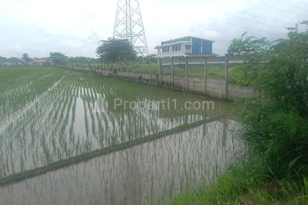 Dijual Tanah Sawah Pinggir Jalan Raya Kali CBL Bekasi - Cocok untuk Usaha