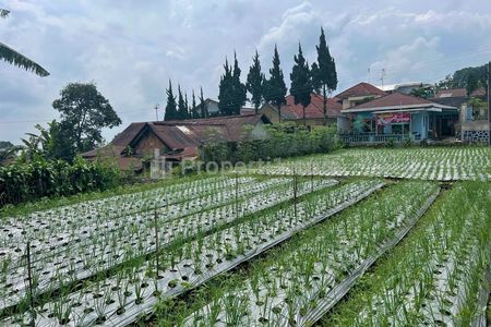 Dijual Tanah Strategis Udara Dingin di Tawangmangu Karanganyar Solo Jawa Tengah
