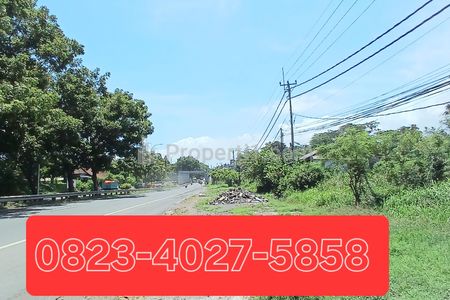 Disewakan Tanah Luas 1,2 Hektar di Jl Ida Bagus Mantra Saba Gianyar Bali