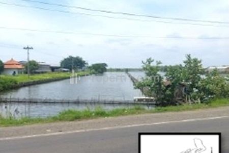 Jual Tanah Sangat Luas di Arteri Kaliwungu Kabupaten Kendal