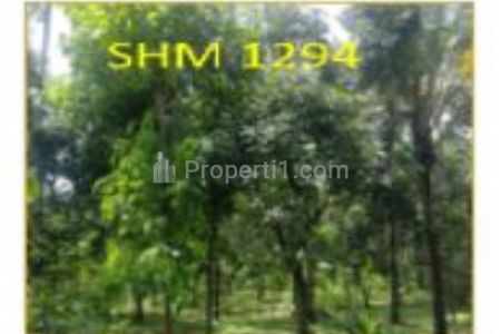 Jual Tanah Kosong di Gerokgak Buleleng Bali Harga Murah di bawah 1.5M