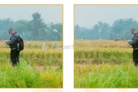 Jual Tanah ex Sawah Pinggir Jalan Lokasi Strategis di Cariu Bogor