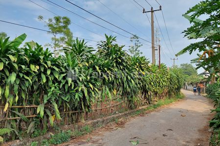 Tanah Dijual Cepat Harga di Bawah Harga NJOP dan Bawah Pasar Cocok Untuk Cluster Perumahan atau Pergudangan