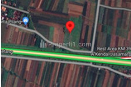 Dijual - Lahan Kebun Buah Produktif 1.25 ha di Gemuh, Kendal, Jawa Tengah