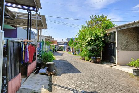 Jual Tanah Kavling Siap Bangun di Dempel Baru Tlogosari Semarang