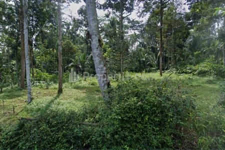 Dijual Tanah Murah 753 m2 di Kecandran, Sidomukti, Salatiga