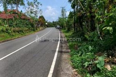 Dijual Tanah Bagus di Busung Biu Buleleng Bali - Cocok untuk Ruko, Pinggir Jalan Raya