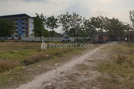 Dijual Tanah Sawah Sudah Pengeringan di Cepu Kab Blora Jawa Tengah - Cocok untuk Investasi