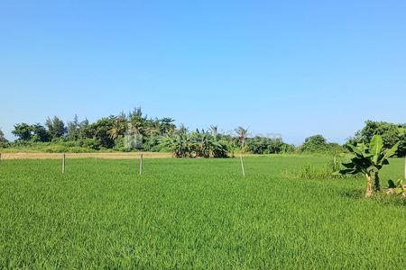 Disewakan Tanah Los Pantai View Gunung Laut Sawah Jalan Ida Bagus Mantra Lebih Gianyar Bali