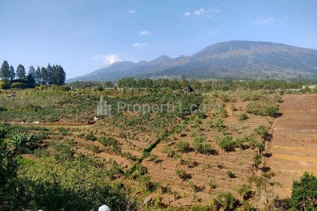 Tanah Dijual Murah di Bumiaji Kota Batu