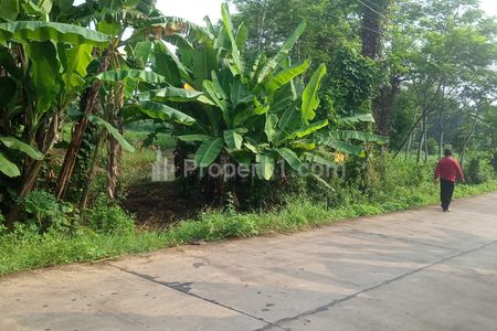 Dijual Tanah untuk Industri dan Gudang Dekat Jalan Pantura Tulis - Batang Jawa Tengah