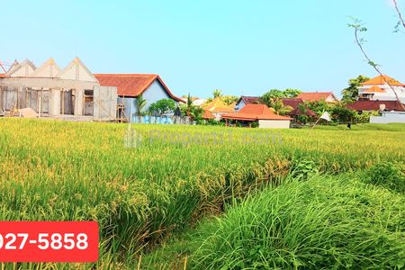Dijual Tanah Area Canggu Kayu Tulang Jl. Pura Wates, Canggu, Kuta Utara, Badung, Bali