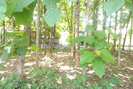 Tanah Dijual 12 Menit ke Gerbang TOL Legok Tangerang, Harga 2jtan