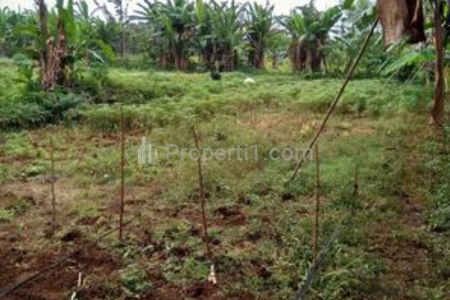 Dekat Terminal Parung Bogor, Dijual Tanah Parung Siap Bangun