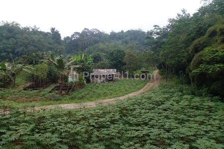 Jual Tanah Kavling 10 Menit Kampus IPB Dramaga, Cocok untuk Kosan/Hunian, SHM