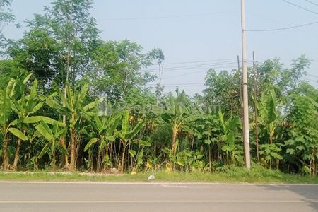 Jual Tanah 4.000 m2 di Sajira Lebak Banten Dekat Alun-Alun Sajira, Pasar Sajira, SMA Negeri 1 Sajira, PT. Charoen Pokphand Lebak Banten