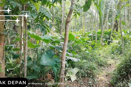 Jual Tanah 790 m2 di Tegalrejo Magelang Dekat RS Syubbanul Wathon, Pasar Tegalrejo, Armada Town Square, Terminal Soekarno Hatta