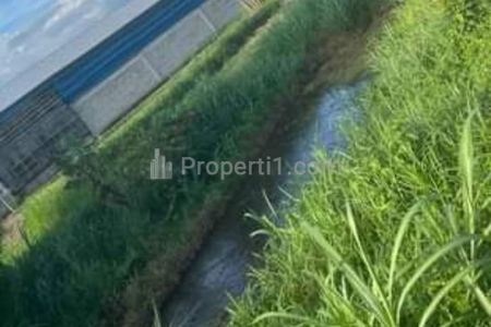 Dijual Kandang Ayam Broiler Beserta Tanah dan Kolam Ikan di Jogonalan Klaten Jawa Tengah