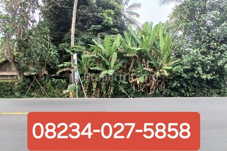 Disewakan Tanah 1 Hektar 8 Are di Jl. Denpasar - Gilimanuk Melaya Jembrana Bali