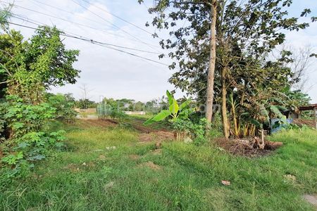 Jual Tanah 2.277 m2 di Jl. Raya Cikande Rangkasbitung Serang Banten Dekat Pasar Majasari, SMA Negeri 1 Jawilan, STAI Assalamiyah Serang