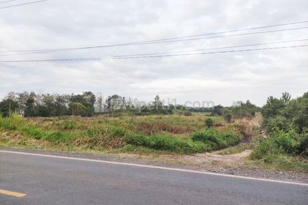 Jual Tanah 18.885 m2 di Jl. Ahmad Yani, Tanah Laut, Kalimantan Selatan Dekat SMA Negeri 1 Tambang Ulang, Politeknik Negeri Tanah Laut