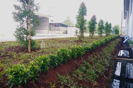 Disewakan Warehouse Industrial Park Balaraja Timur, Tangerang
