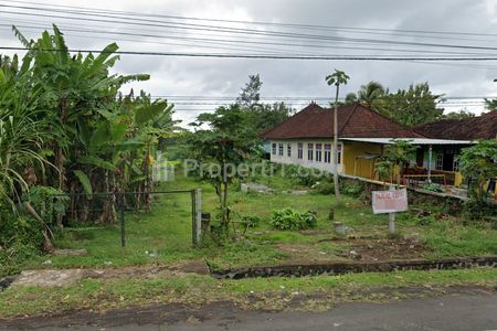 Jual Tanah SHM Strategis di Raya Denpasar Gilimanuk Jembrana Bali