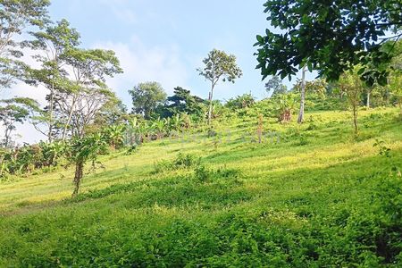 Jual BU Tanah 9.286 m2 di Campang Raya Bandar Lampung Dekat Pasar Beringin Bandar Lampung, Japfa Comfeed Indonesia, Lampung City Mall