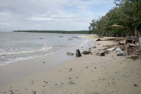 Jual Tanah AJB Murah 300 Hektar di Tepi Pantai Tanjung Lesung, Panimbang, Pandeglang, Banten
