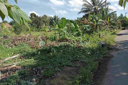 Dijual Tanah SHM di Kota Rantau, Tapin, Kalimantan Selatan