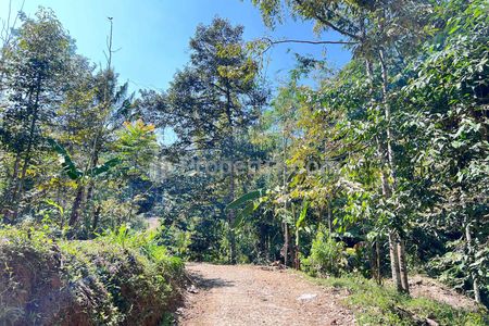 Jual Tanah Kebun Durian 1000m² di Kemuning Ngargoyoso Karanganyar