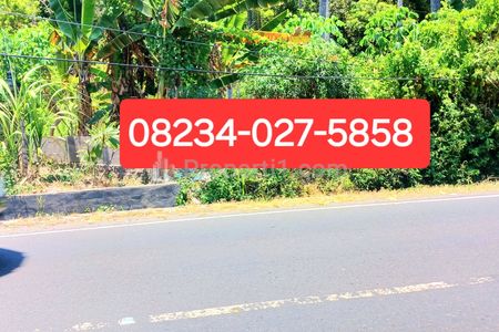 Sewa Tanah 24 Are di Jalan Raya Padang Bai Karangasem Bali