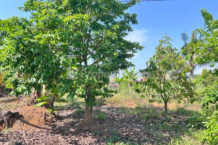 Dijual Tanah Kebun Buah 4131m² di Kawasan Wisata Ngargoyoso Karanganyar