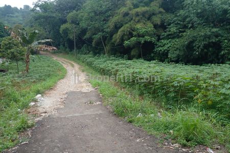 Jual Tanah Kavling 139m2 di Ciampea Bogor 10 Menit ke Kampus Dramaga Bogor Harga 170 Jutaan