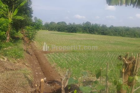 Dijual Tanah untuk Bangun Perumahan Dekat Gerbang Tol Pinggir Kota Subang