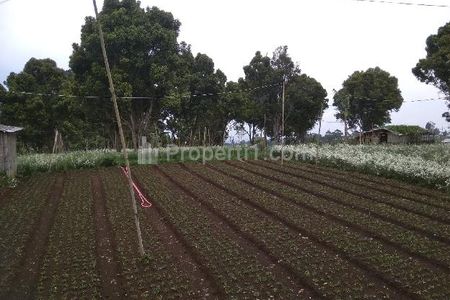 Dijual Kebun 13 ha di Citiis, Cihanjuang Rahayu, Bandung Barat