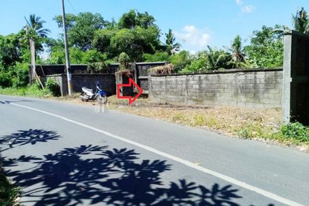 Jual Tanah di Gianyar Bali Dekat RS Kasih Ibu Saba, Pantai Saba, Pantai Keramas, Ubud Bali, The Amazing Taman Safari Bali, Bali Zoo, Bali Bird Park